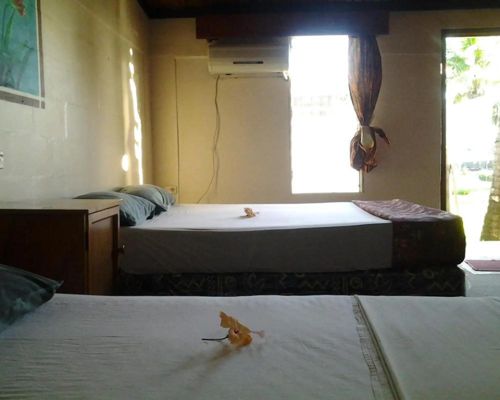 фото Bamboo Backpackers