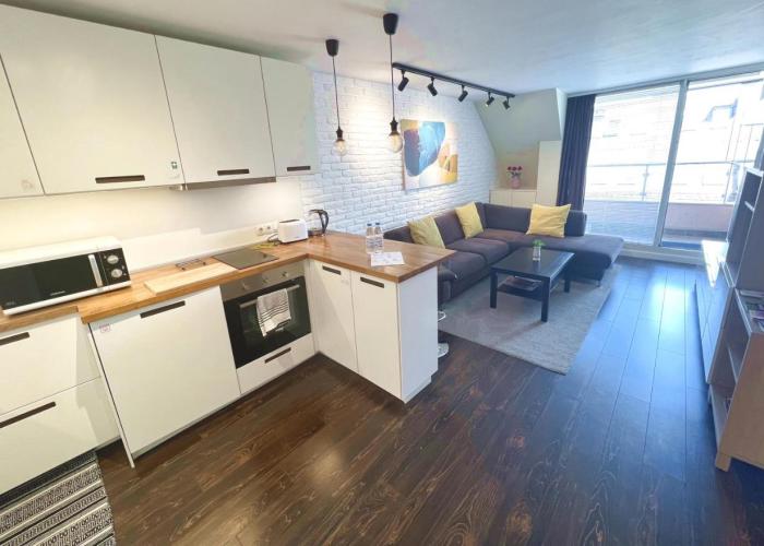 Unique Luxurious Jacuzzi PENTHOUSE DUPLEX in City Center! 2 BATHS! FREE PARKING!