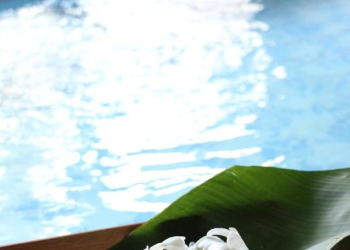 Palau Plantation Resort