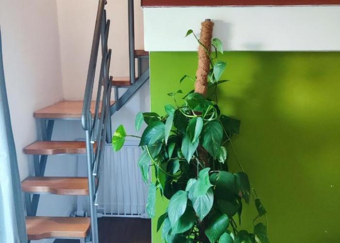 Apartmani Seka