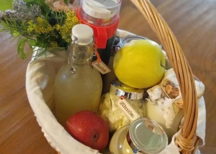 Glamping Health Resort