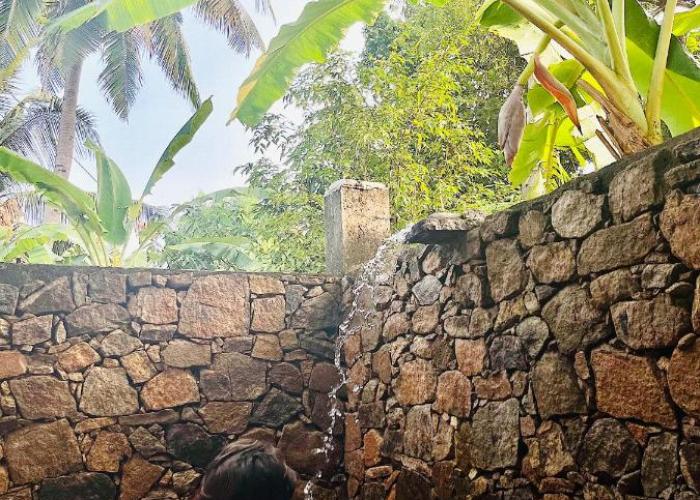 Mango Tree House