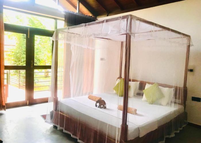 Mango Tree House