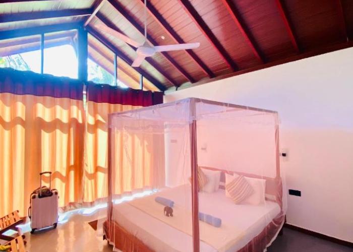 Mango Tree House