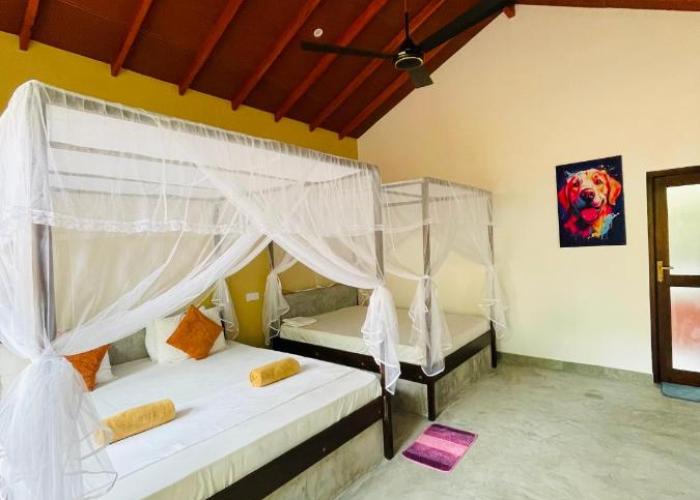 Mango Tree House