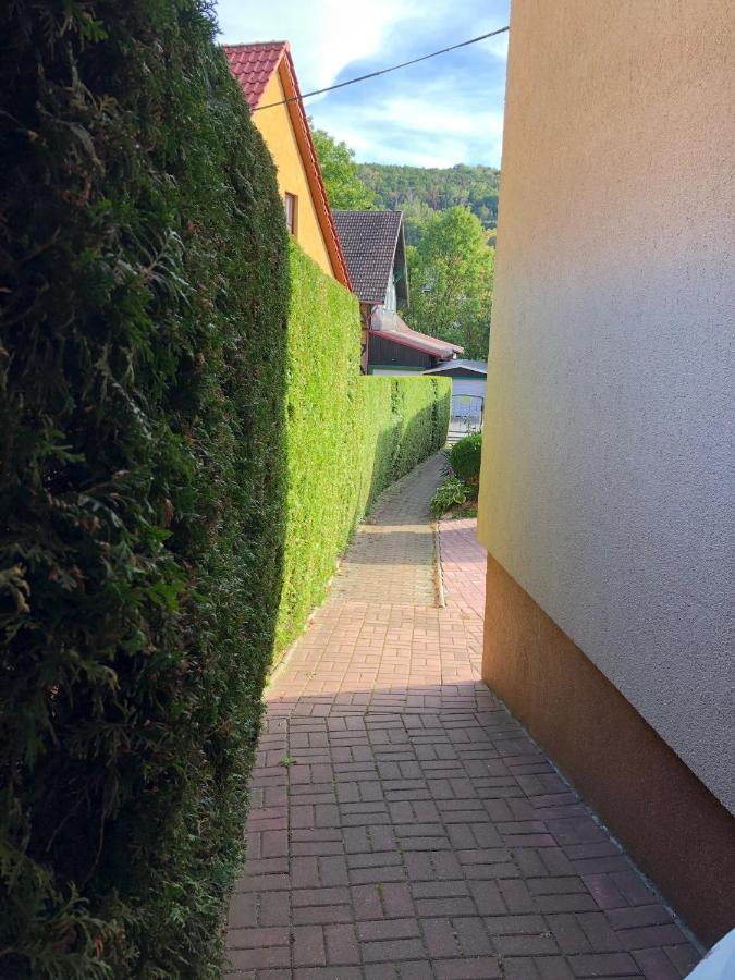 фото Ferienwohnung Harzerfuchs