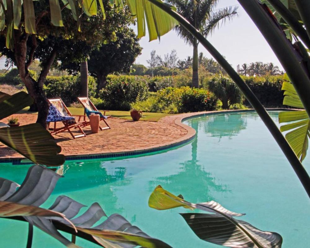 фото Ancha's Oasis