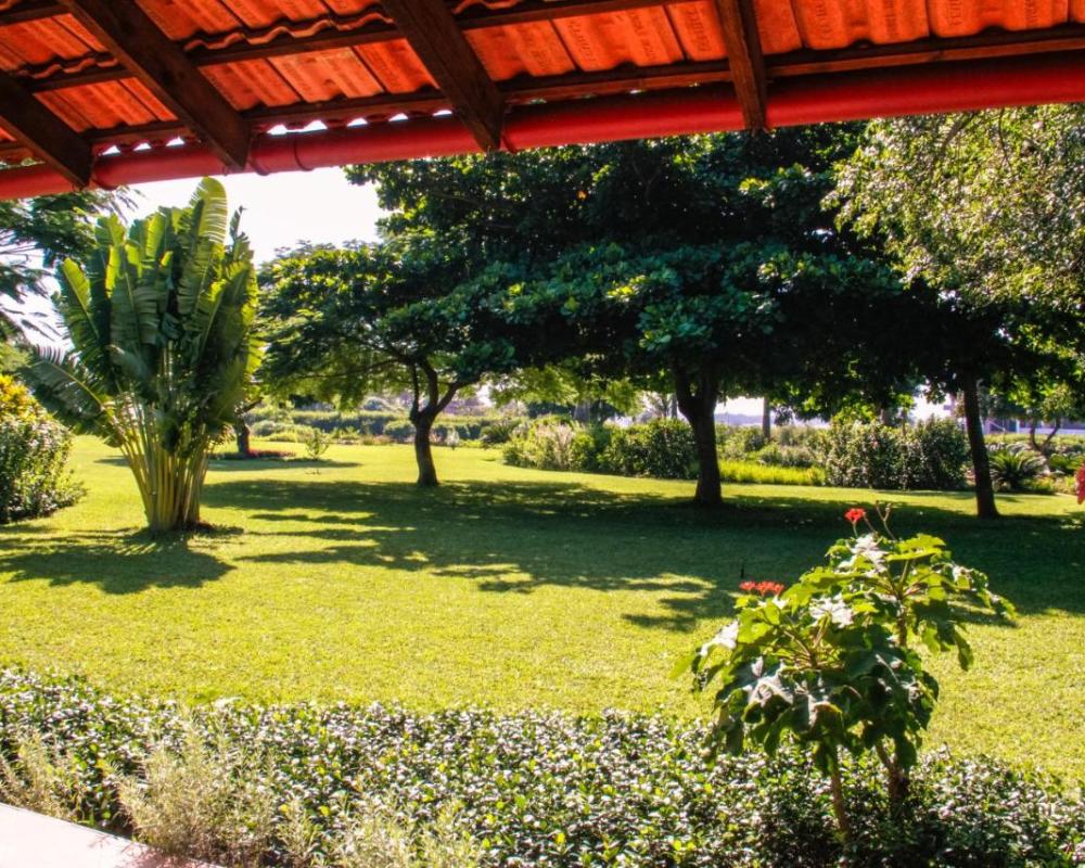 фото Ancha's Oasis