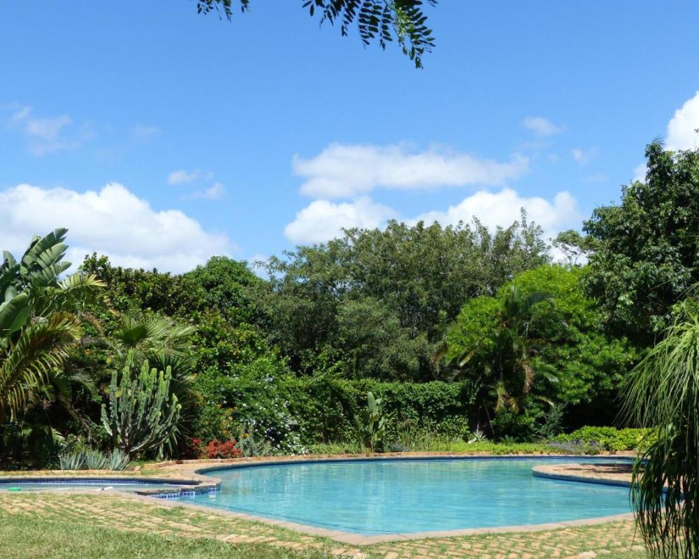 фото Ancha's Oasis