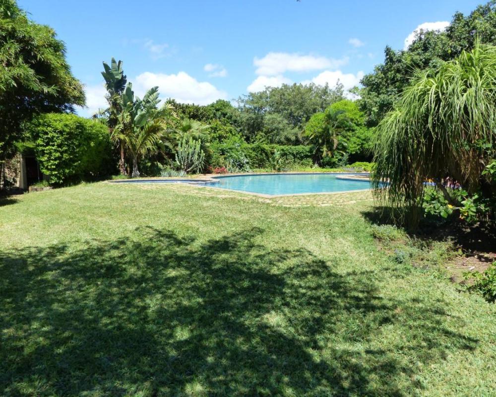 фото Ancha's Oasis