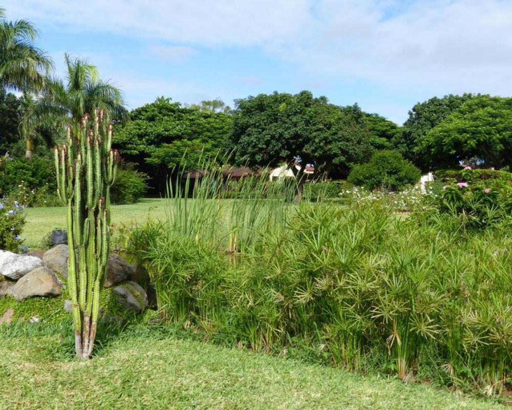 фото Ancha's Oasis