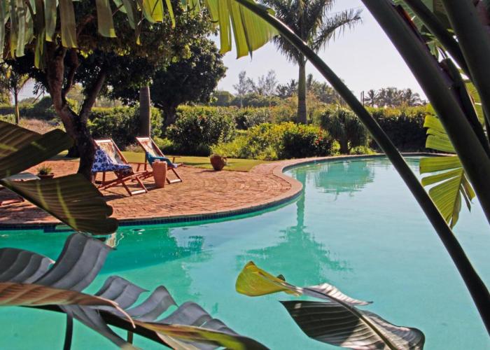 Ancha's Oasis