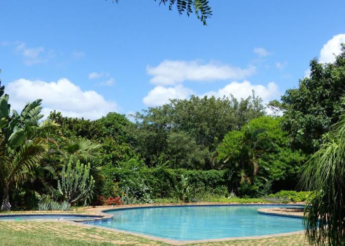Ancha's Oasis