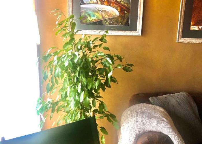 Exklusive ökologische Ferienwohnung , Innenstadt, DG