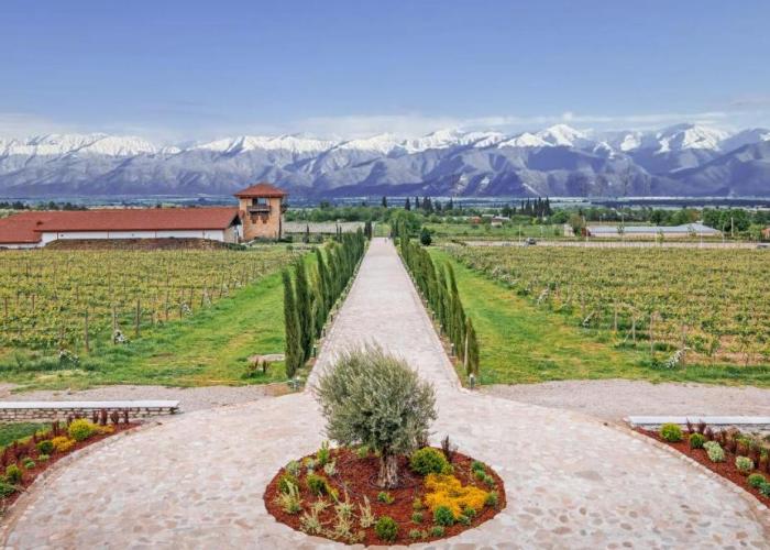 Château Mosmieri Hotel & Winery