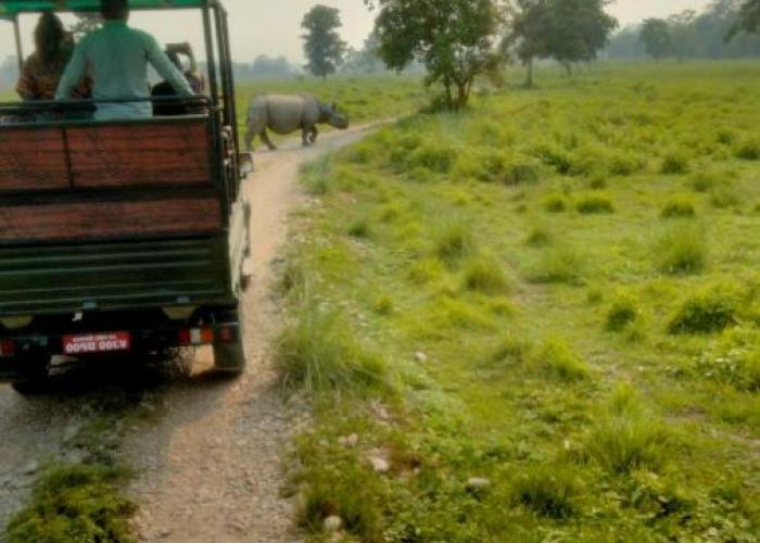 Hotel Tiger Tops Sauraha