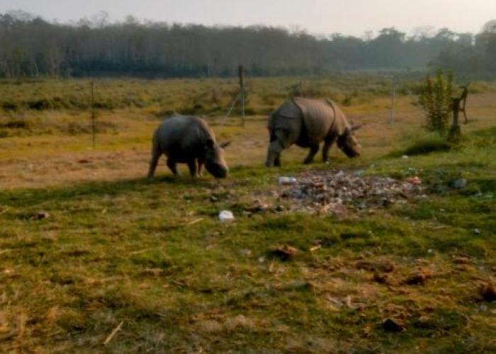 Hotel Tiger Tops Sauraha