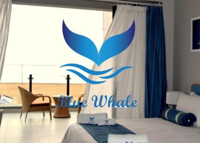 Blue Whale Hotels