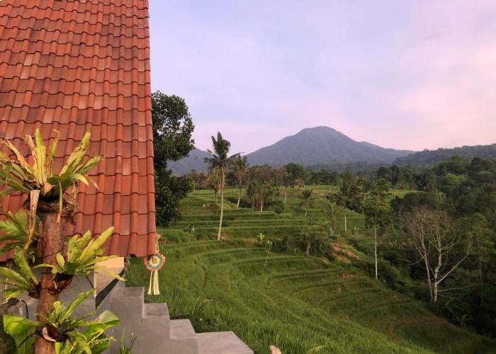 Padi Bali Jatiluwih
