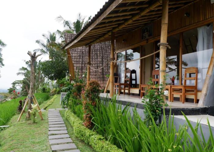 Padi Bali Jatiluwih