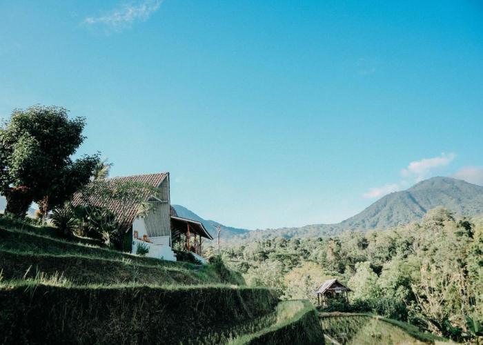Padi Bali Jatiluwih