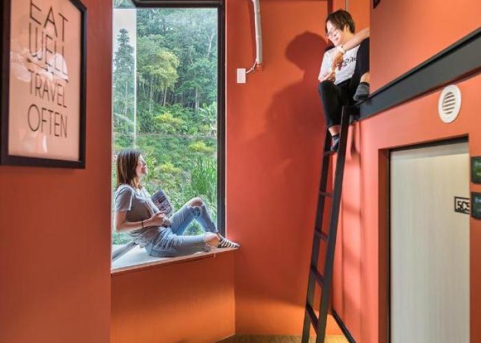 Hostel 貓頭鷹旅店