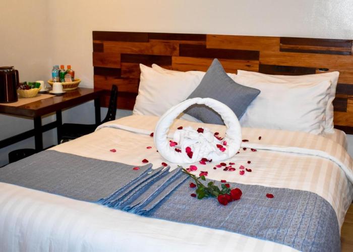 Hotel Lourdes