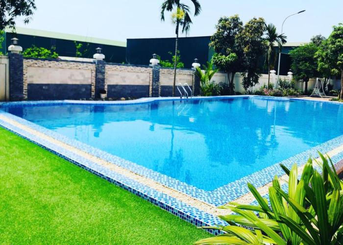 Thông Đỏ Hotel