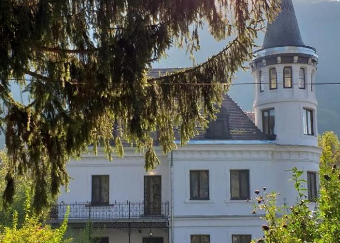 Vila Micul Castel