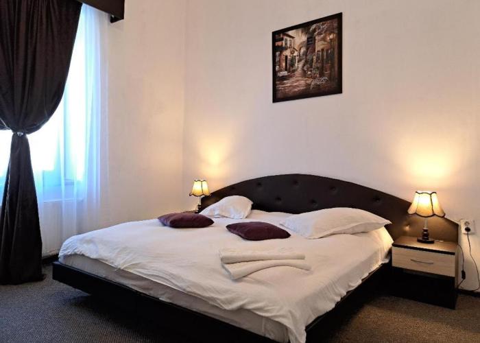 Vila Micul Castel