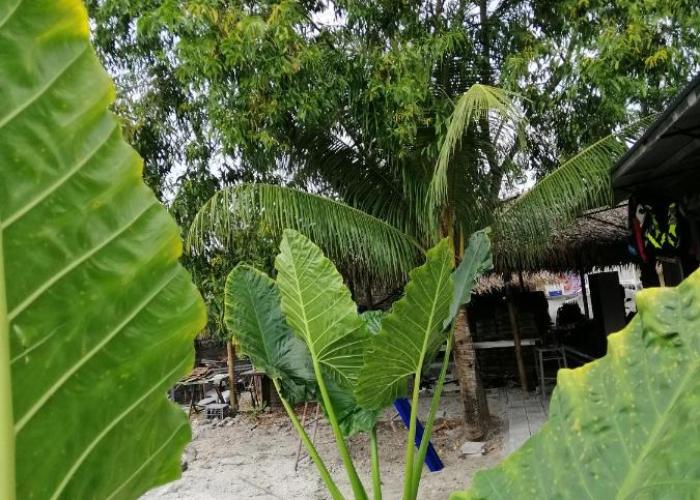 Katrina's Dorm