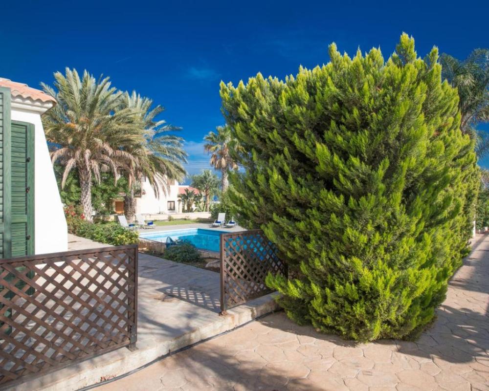 фото Villa Joy
