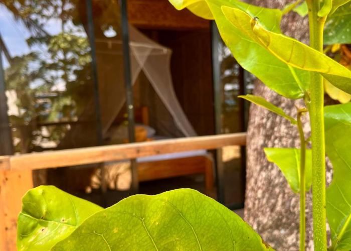 Amami Beachfront Villa with Private Beach