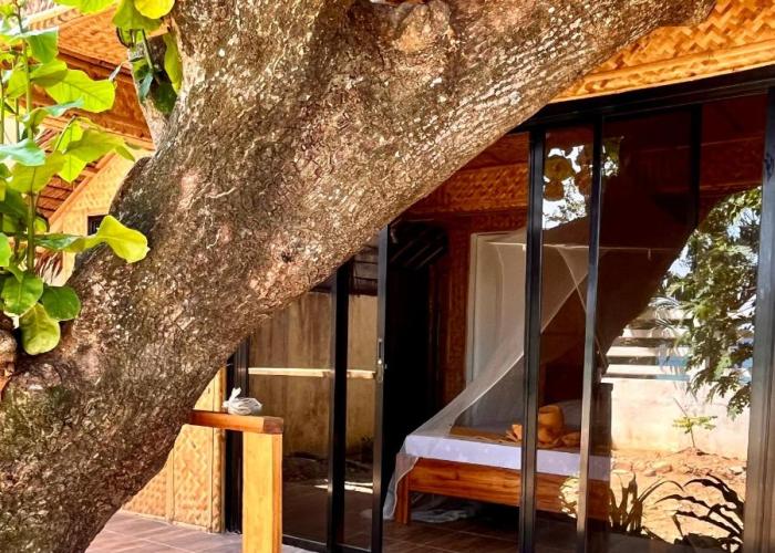 Amami Beachfront Villa with Private Beach