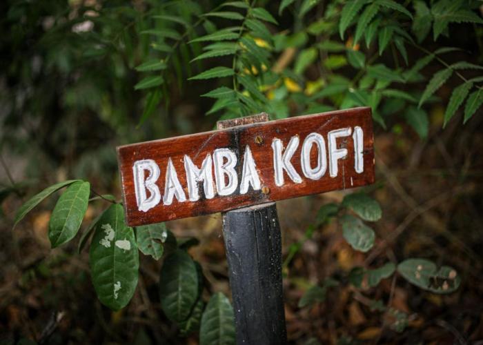 Bamba Kofi Tented Camp
