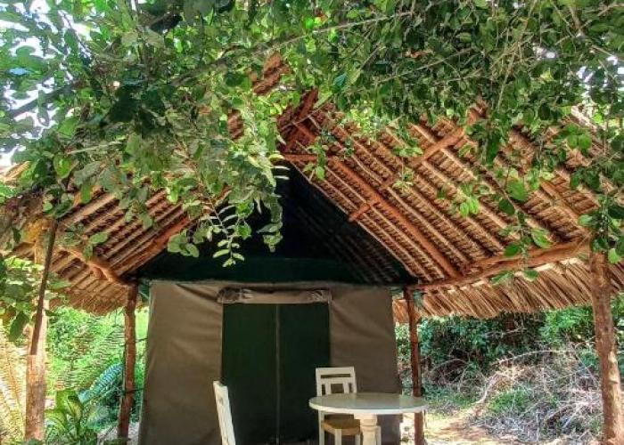 Bamba Kofi Tented Camp