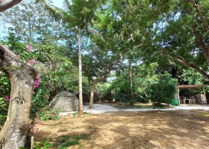 Bamba Kofi Tented Camp