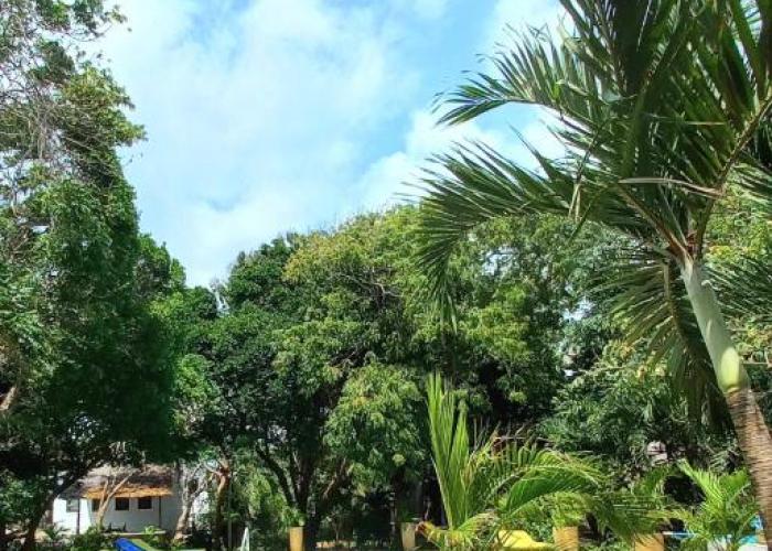 Bamba Kofi Tented Camp