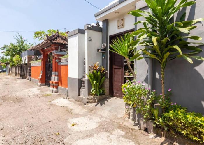 The Backyard House