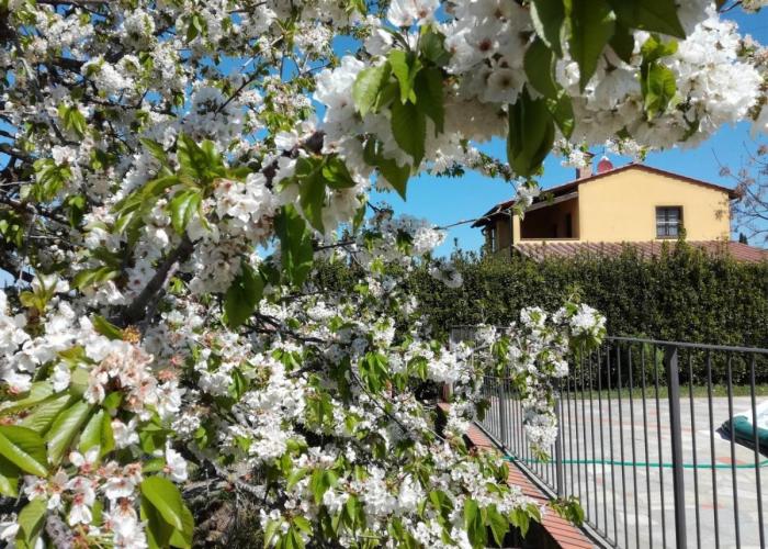 Agriturismo La fonte