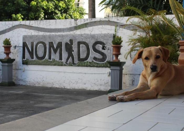 Nomads Hostel Multicultural & Coworking