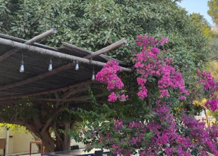The Inn Nizwa
