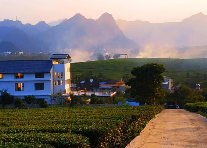 Moc Chau Cottage homestay