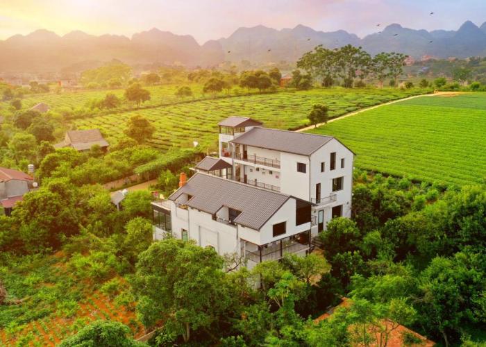 Moc Chau Cottage homestay