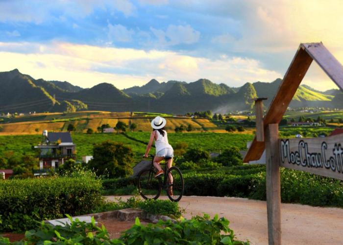 Moc Chau Cottage homestay