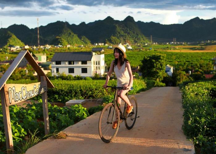 Moc Chau Cottage homestay