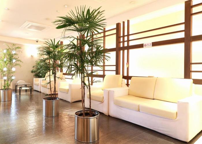 Toyama Town Hotel