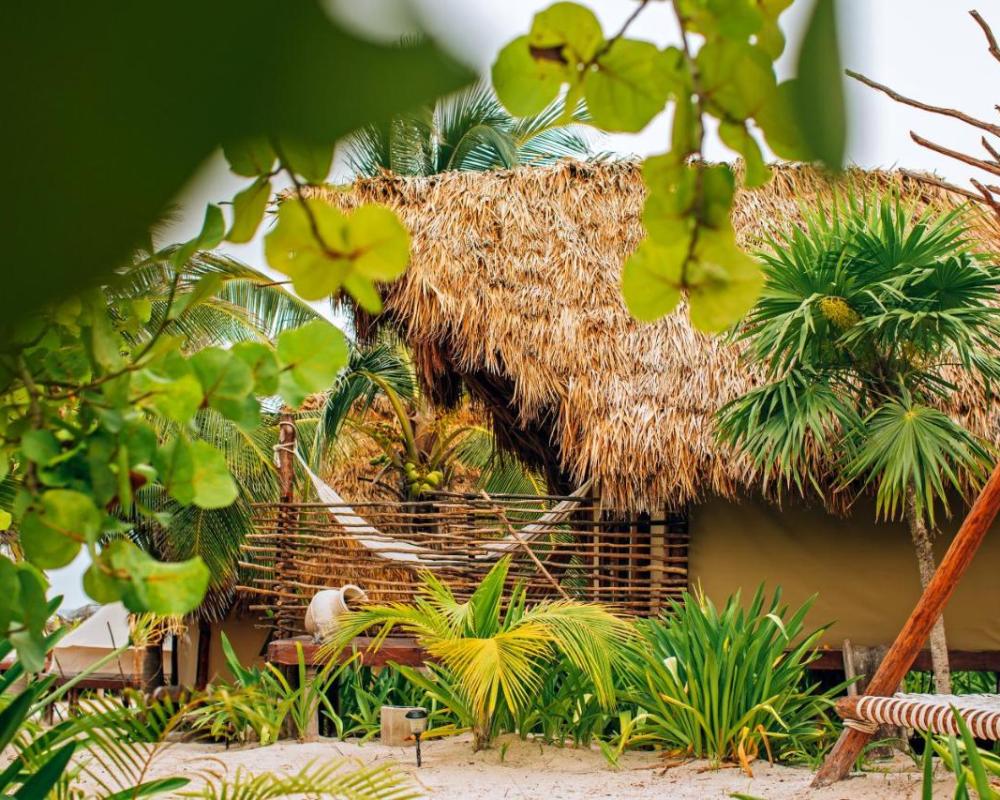 фото Camp Ikal Tulum