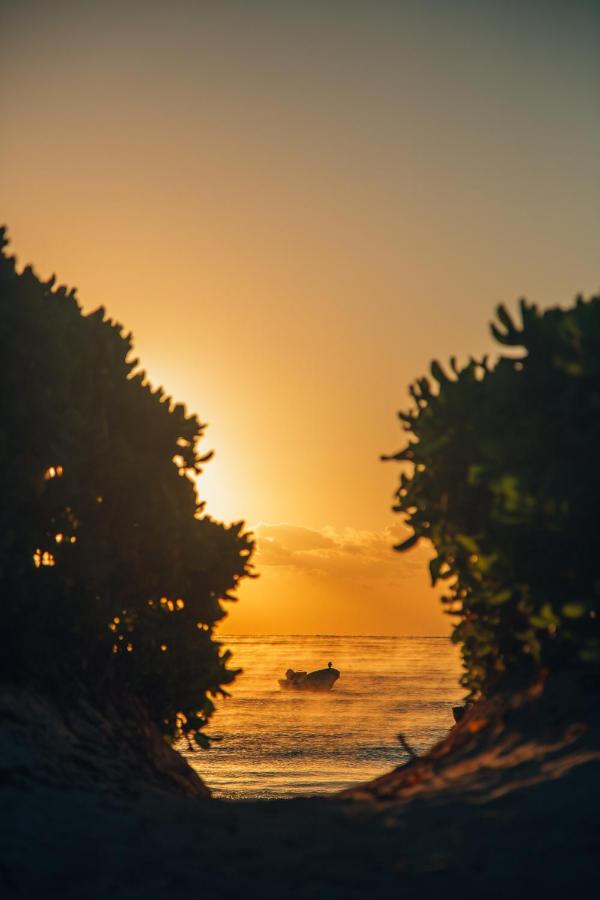 фото Camp Ikal Tulum