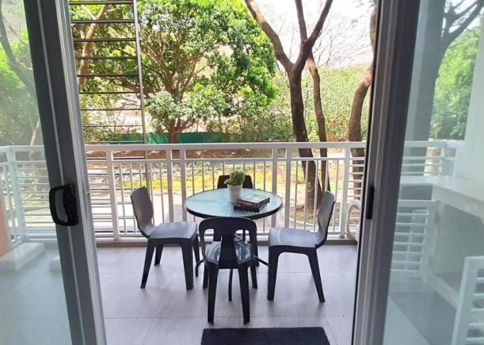 Pico de Loro Jacana B